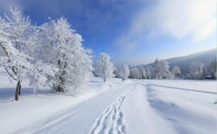 <b>十八里的半夜雪路</b>