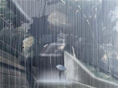 相思风雨中