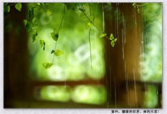 雨丝