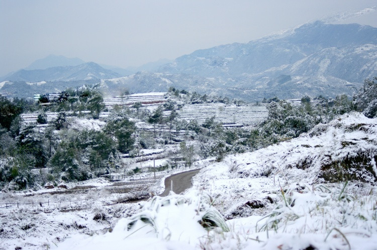 <b>怀念一场雪</b>