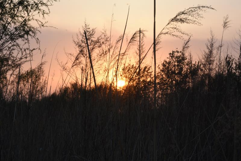 汴河夕照